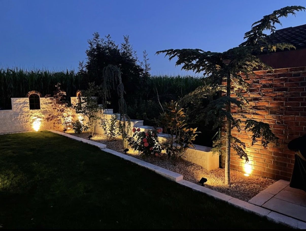 Abendlich beleuchteter Garten mit weißer Mauer, Rosen und Zeder